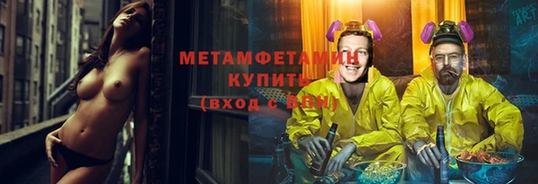 индика Аркадак