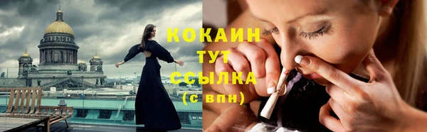крисы Армянск