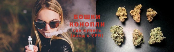 индика Аркадак