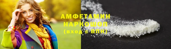 индика Аркадак