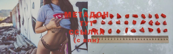 индика Аркадак