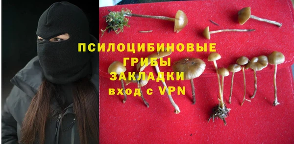 крисы Армянск