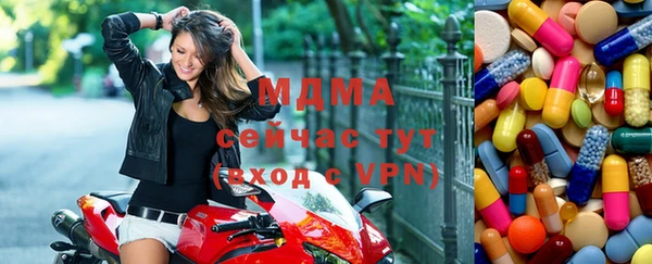 индика Аркадак