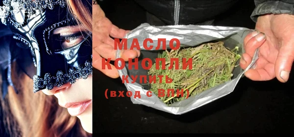 индика Аркадак