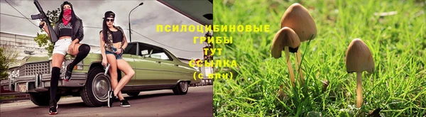 скорость mdpv Арсеньев
