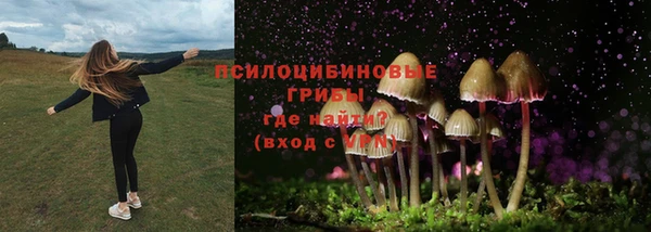 крисы Армянск