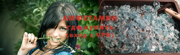индика Аркадак