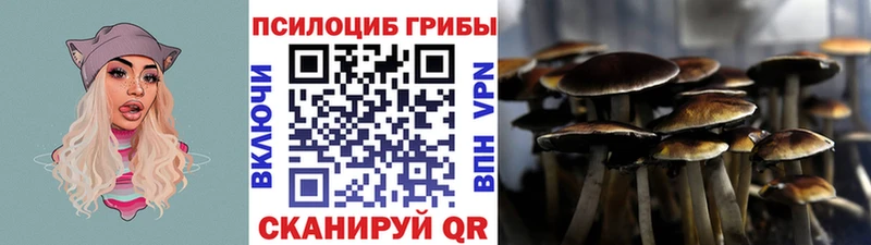 Галлюциногенные грибы прущие грибы  Мариинский Посад 